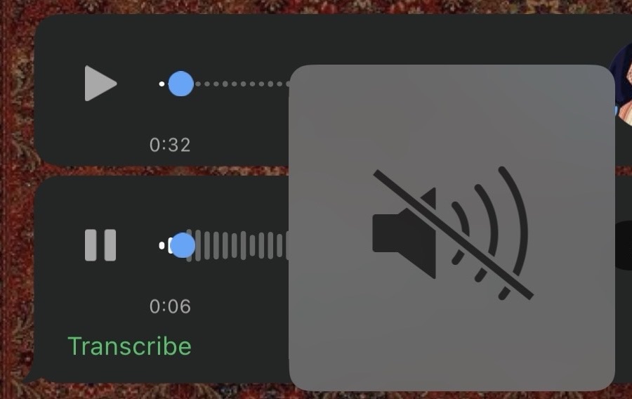 لا ترسل لي رسالة صوتية!